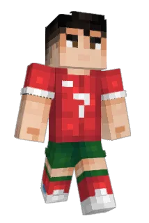 Starry_Aurora Minecraft avatar full body