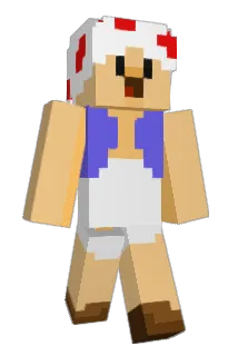 StartPress14 Minecraft avatar full body