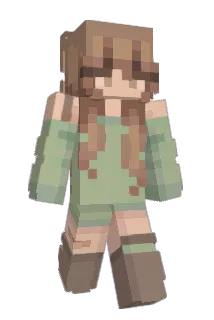 Starwhar Minecraft avatar full body
