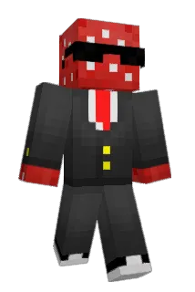 Stary_Grzyb Minecraft avatar full body