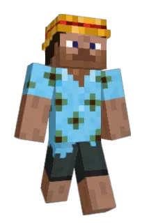 StatorPL Minecraft avatar full body