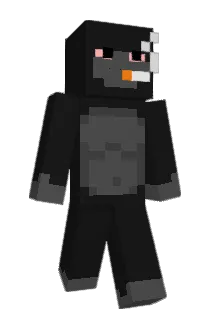 Stawarzfwest Minecraft avatar full body
