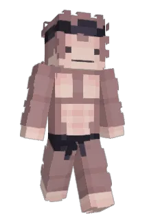 StealthCap Minecraft avatar full body