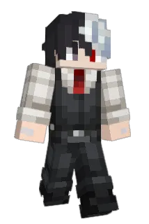 Stechy_23 Minecraft avatar full body