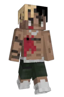 Steeezn Minecraft avatar full body