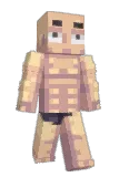 Steenie Minecraft avatar full body