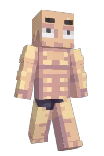 Steenie Minecraft avatar full body