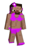 Stef3k Minecraft avatar full body