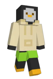 StefanelS Minecraft avatar full body