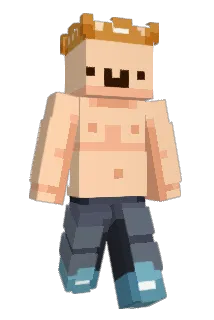 Stefankrol Minecraft avatar full body