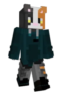 Stefii24 Minecraft avatar full body