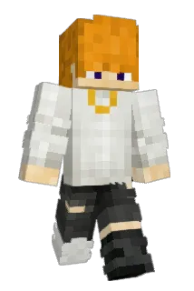 Stei Minecraft avatar full body