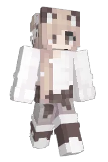 Steininiets Minecraft avatar full body