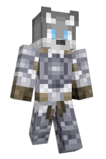 StelgiN Minecraft avatar full body
