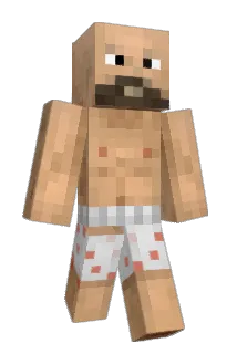 Stellar Minecraft avatar full body