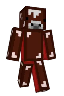 Steller21 Minecraft avatar full body