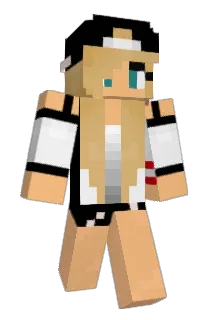 StengelA Minecraft avatar full body