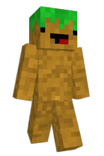 StephGoullzz Minecraft avatar full body