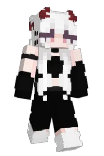 StephZoid Minecraft avatar full body