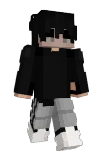 StereoNot Minecraft avatar full body