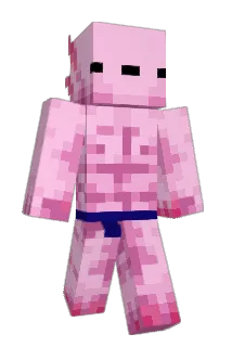 StevePotato8110 Minecraft avatar full body