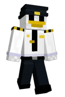 SteveeeWonder Minecraft avatar full body