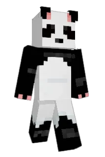 Stidnit Minecraft avatar full body