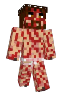 StienStein Minecraft avatar full body