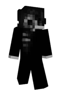 Stingz Minecraft avatar full body