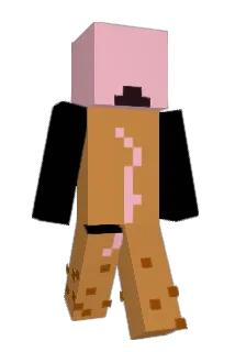 StinkyDawg2204 Minecraft avatar full body