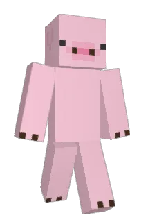 Stoffe00 Minecraft avatar full body