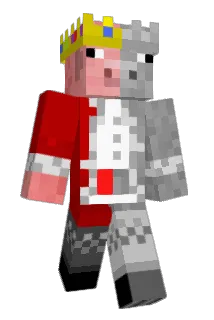 Stoffigamer Minecraft avatar full body