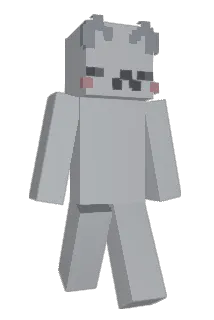 StokCity Minecraft avatar full body