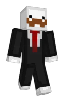 StolzeErdnuss Minecraft avatar full body