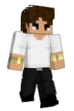 Stoop Minecraft avatar full body