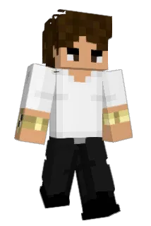 Stoop Minecraft avatar full body