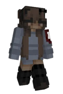 StopDolphin Minecraft avatar full body