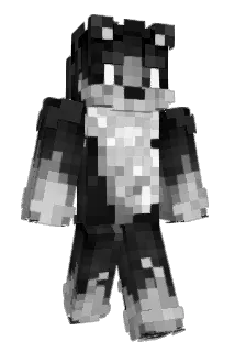 Storm211R Minecraft avatar full body