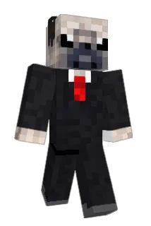 Stormtrooper179 Minecraft avatar full body