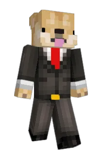 Storniii Minecraft avatar full body