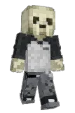Straaix Minecraft avatar full body
