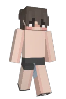 Strafts Minecraft avatar full body