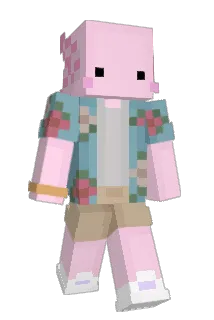 Strank_ Minecraft avatar full body