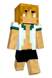 Strawshiss Minecraft avatar full body