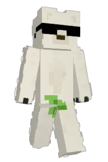 Stray10 Minecraft avatar full body
