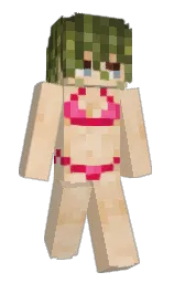 Custom render preview
