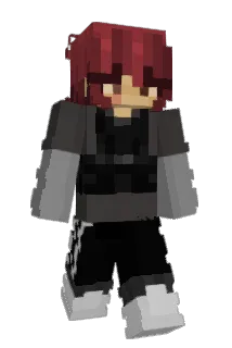 StripeyDash2 Minecraft avatar full body