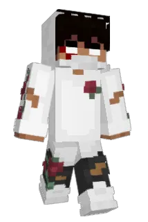 Strobed Minecraft avatar full body