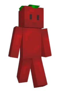Strojo997 Minecraft avatar full body