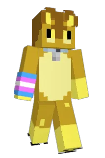StuifMeel_ Minecraft avatar full body
